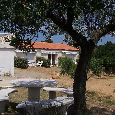 Le Fenouillet Chambres D'Hotes Proche Des Grands Buffets Narbonne Exterior photo